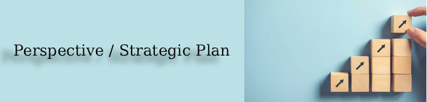 Perspective / Strategic Plan